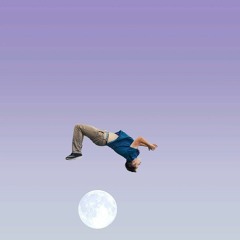 flips 3