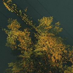 a brief moment of honesty