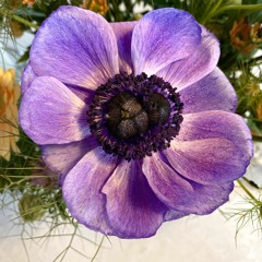 I'm Holy By Rabbe Söderlund