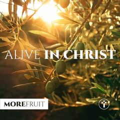 More fruit: Alive in Christ | Louis Kotzé