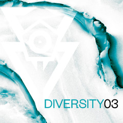 DIVERSITY03