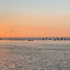 down in vieux cannes - vira talisa (kesshabidari's cover)