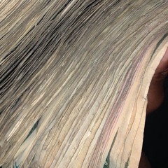 Hunnids (prod @swagnvy)