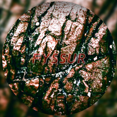 - FYSSUR - hardware
