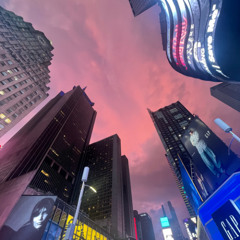 01-24  잔향 (janhyang)