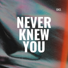Never Knew You