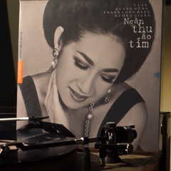Ngàn Thu Áo Tím - Vinyl (LP) 2013