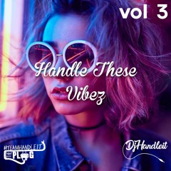 DJ Handle It - Handle These Vibez Vol.3