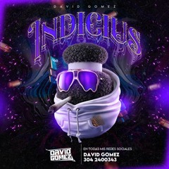 INDICIUS