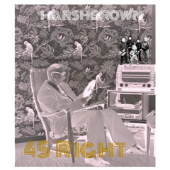 HARSHBROWN; 45 Right