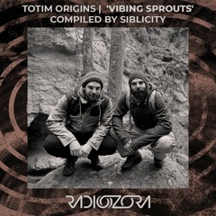 SIBLICITY - Vibing Sprouts | TOTIM Origins | 12/05/2021