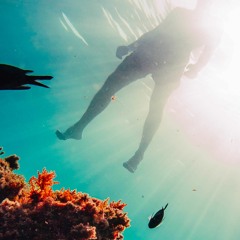 ORBITAR ✩₊˚.⋆☾⋆⁺ (prod. tykun & CHEF 9 THE GOD)