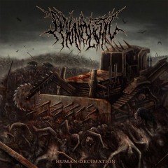 Mized By A Chainsaw - Anomalistic