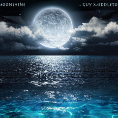 Moonshine - Underground House