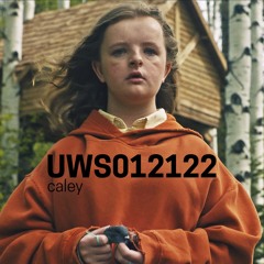 Live on ultrawizardsword.net (01-21-22)
