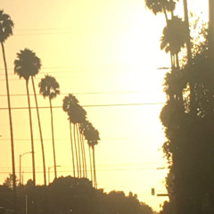 Maison Kitsanu- Crowd Steps