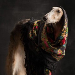 Sorrow - Quatrain -> KOAN Sound x Gemini x Culprate x Asa - Beyond the Shadows