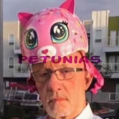 Petunias