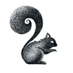 my bro, the black squirrel