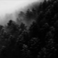 TM New Song Demo Draft