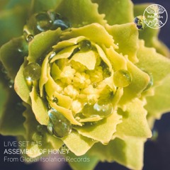 Nature Tales Live Set #15: Assembly Of Honey - From Global Isolation Records