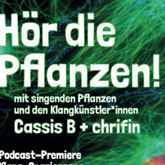 chrifin und cassisb Podcast_Singende Pflanzen_2025