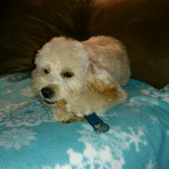 way back home dubstep (vip 2014)