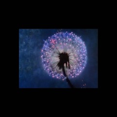 g a r d e n  t a p e (funky & chill house mixtape & visuals link in description)