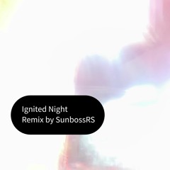 Ignited Night(S.RS Remix)