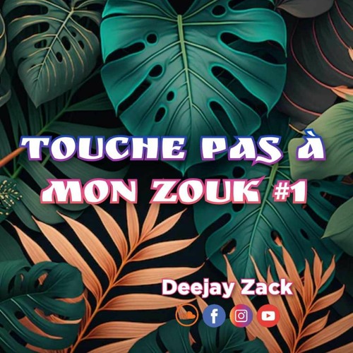 TOUCHE PAS À MON ZOUK #1
