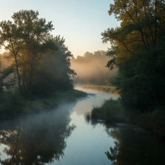 Where the River Forgets