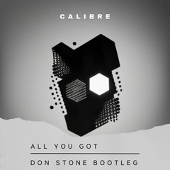 Calibre - All You Got (Don Stone Deep Down Mix)