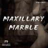 Download Video: Maxillary