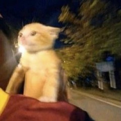 Tha Rang Nhu The Not Pluggnb Remix For Sure