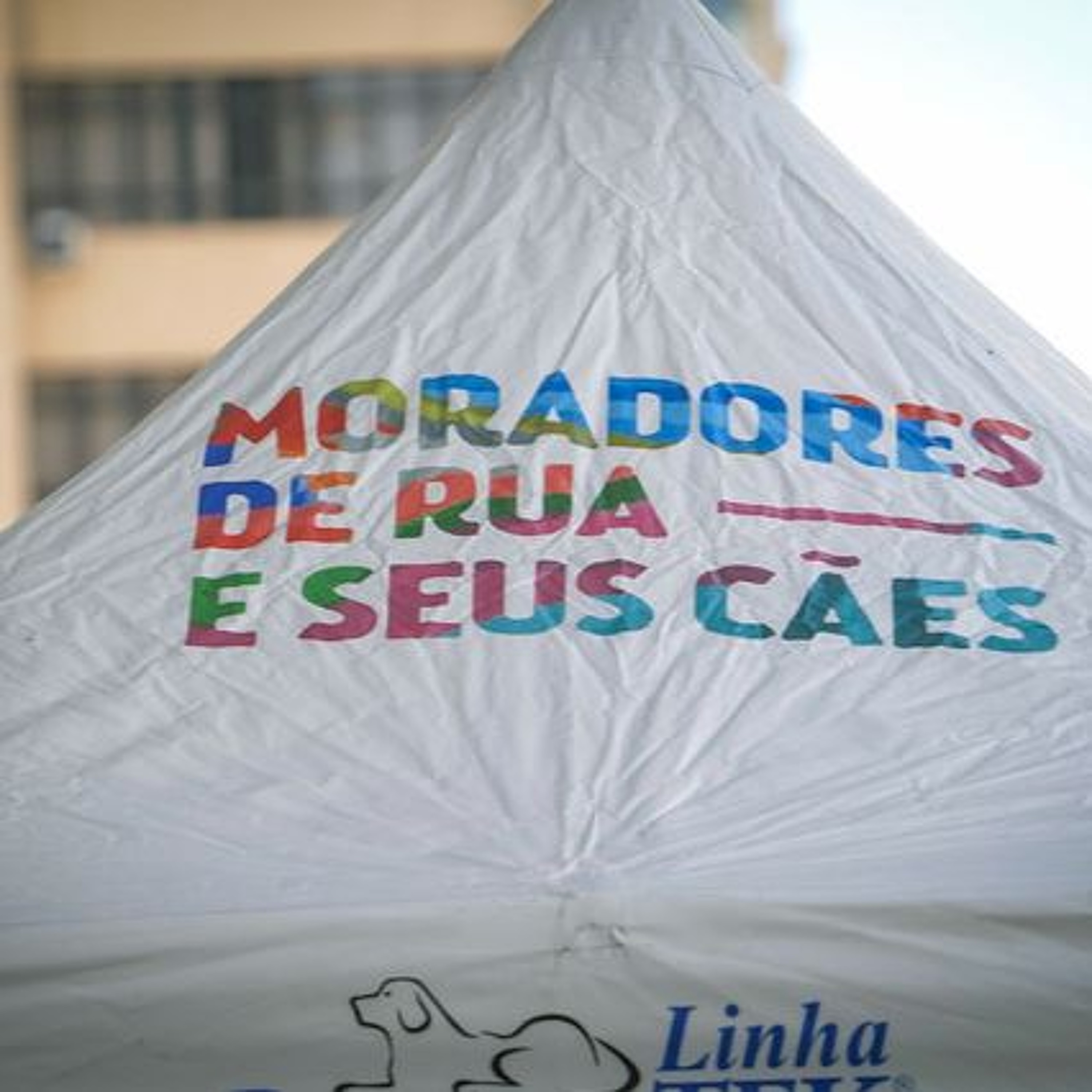 30.03.2026 = CÂMARA DE SP SEDIOU AÇÃO SOLIDÁRIA PARA PETS E FAMÍLIAS episode artwork