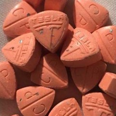Xan x Tesla