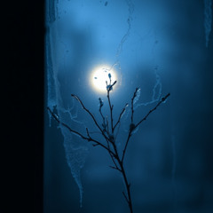 Dark December