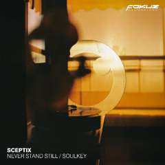 Sceptix - Never Stand Still