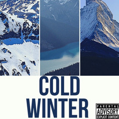 ABMMANI FT 1600 BLICKY COLD WINTER