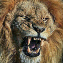 LFG Quarantine Mix 2