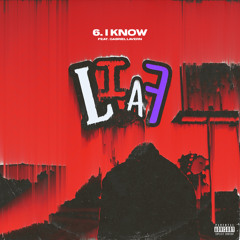 I Know (feat. Gabriel Lavern)