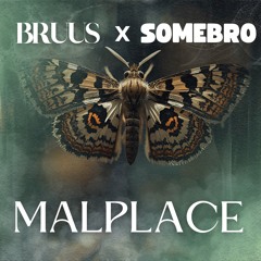 Malplace (cover)