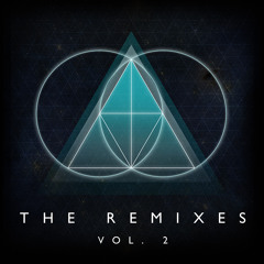 We Swarm (Beats Antique Remix)