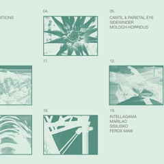 Cantil & Parietal Eye - Fireflies [Amniote X Ute]