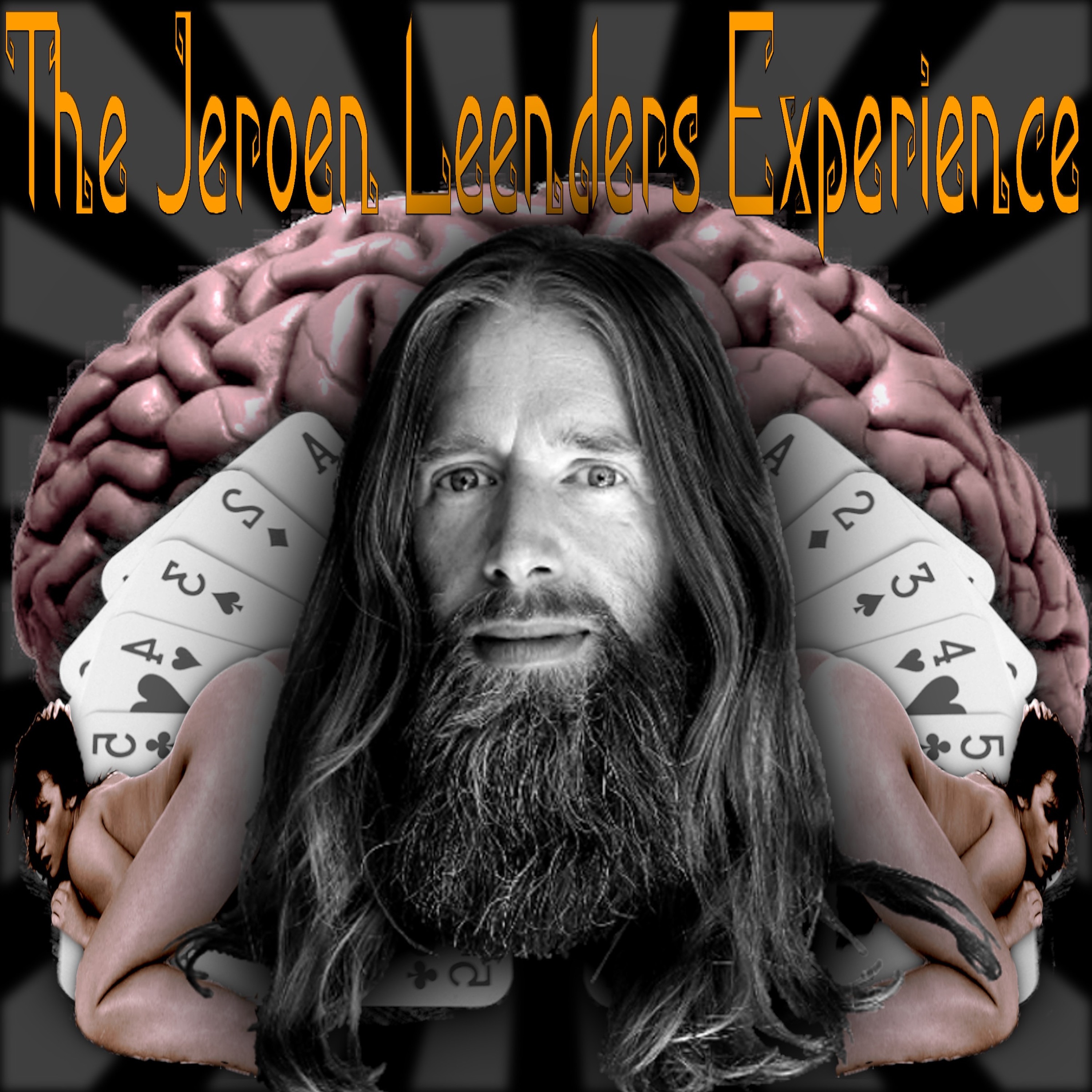 Jeroen Leenders Experience