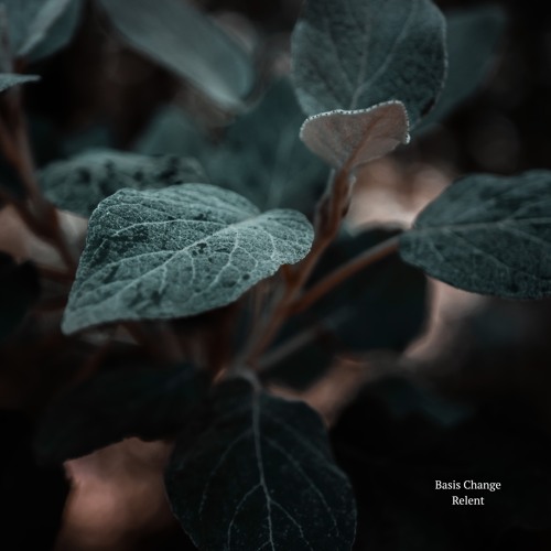 Basis Change - Relent
