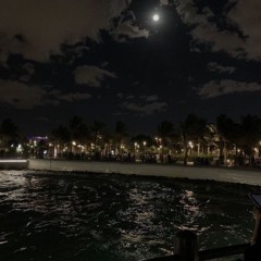 am i worth her memory? w/ ivory falls (luc3nt + bxxngan)