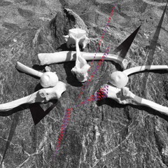 M. Blaese - original desire