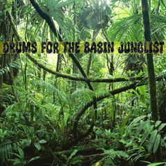 Drums for the Basin Junglist