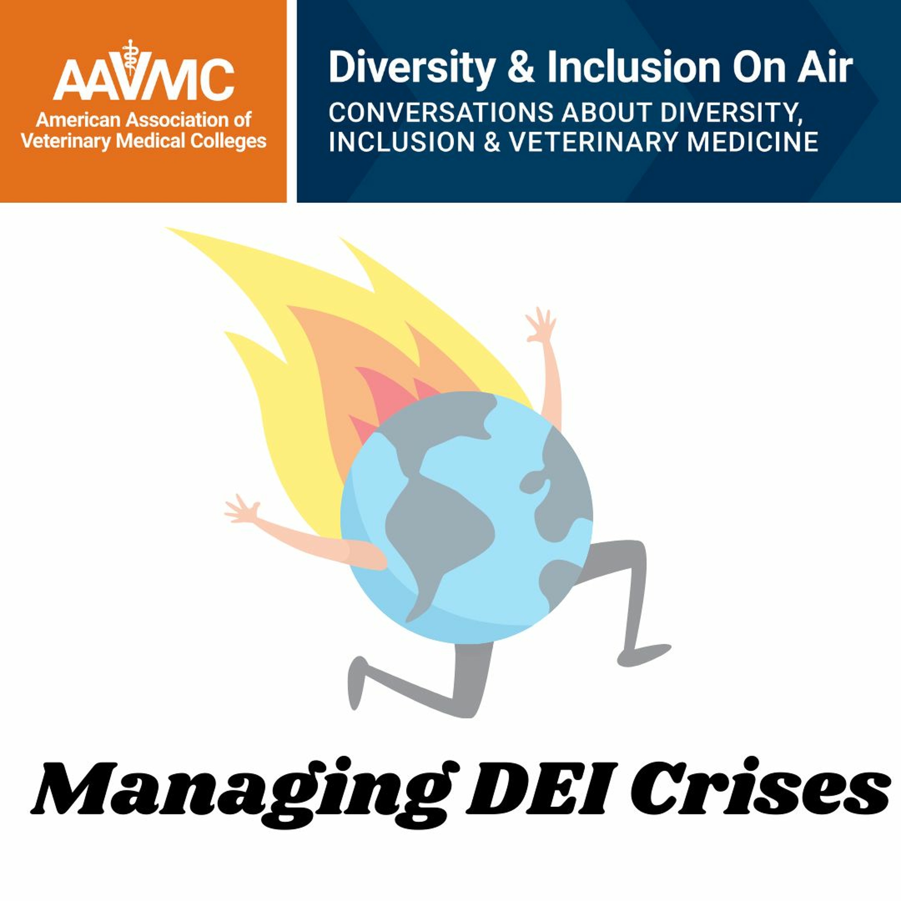 AAVMC\'s On Air: Conversations about Issues in Veterinary Medicine